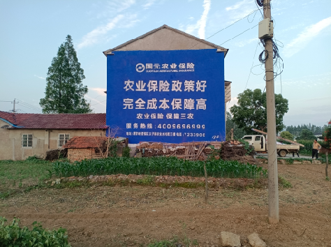 新邵墙体广告的优劣势你知道吗？