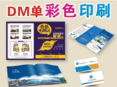 新邵单页印刷，色彩搭配简单。